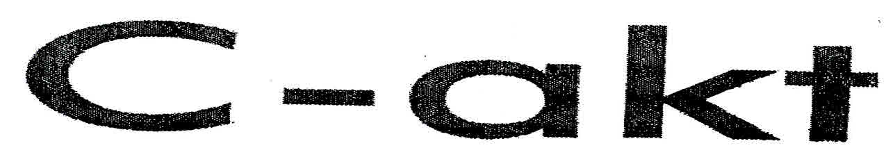 C-akt Device mark 3063629 Trademark