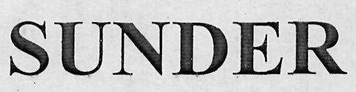 Sunder Device mark 3065735 Trademark