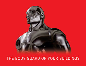 The Body Guard Of Your Buildings Device mark 3062645 Trademark
