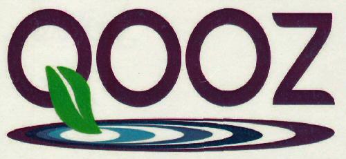 Qooz Device mark 3070613 Trademark