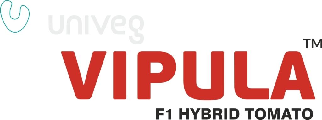 Vipula Device mark 3092145 Trademark