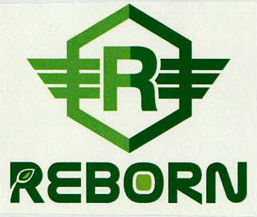 R Reborn Device mark 3082237 Trademark