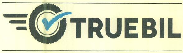 Truebil Device mark 3079930 Trademark
