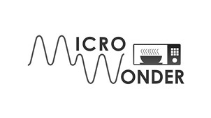 Microwonder (device) Device mark 3100262 Trademark