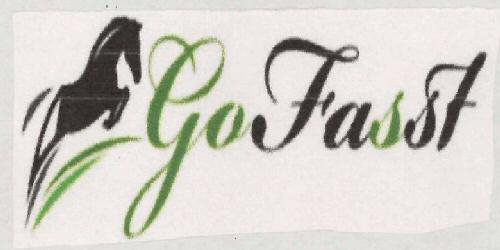Go Fasst Device mark 3090162 Trademark