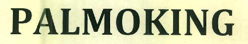 Palmoking Device mark 3087281 Trademark
