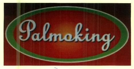 Palmoking Device mark 3087282 Trademark