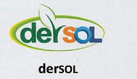 Dersol Device mark 3101641 Trademark