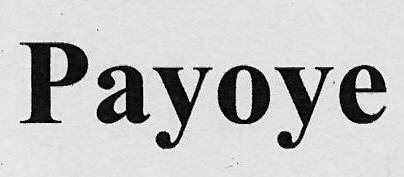 Payoye Device mark 3114782 Trademark