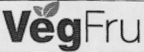 Vegfru Device mark 3095060 Trademark