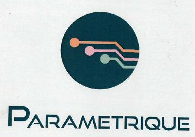 Parametrique Device mark 3109377 Trademark