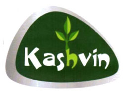 Kashvin With Device Of Leaf Device mark 3115990 Trademark