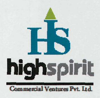 Hs High Spirit Device mark 3112376 Trademark
