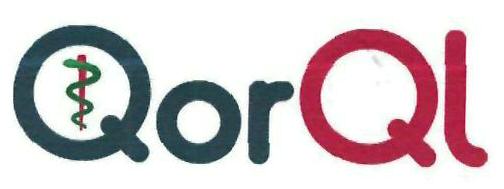 Qorql Device mark 3117142 Trademark