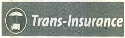 Trans-insurance Device mark 3123794 Trademark