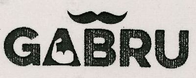 Gabru Device mark 3110428 Trademark