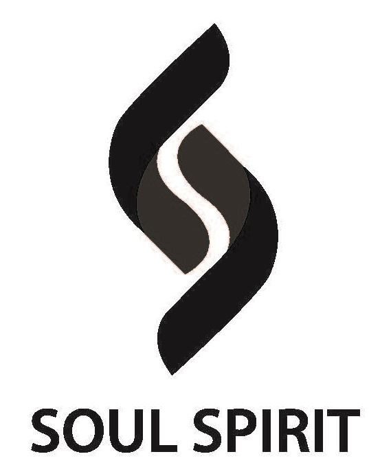 Soul Spirit Device mark 3117951 Trademark