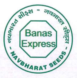 Banas Express Device mark 3118171 Trademark