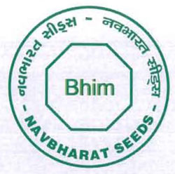 Bhim Device mark 3118172 Trademark