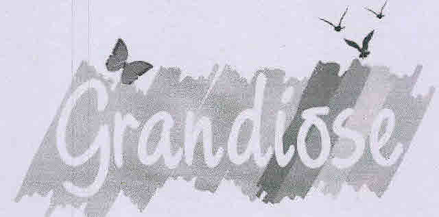 Grandiose Device mark 3136432 Trademark