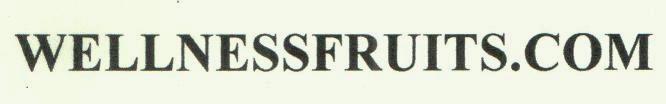 Wellnessfruits.com Device mark 3087541 Trademark