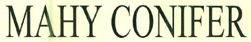 Mahy Conifer Device mark 3095253 Trademark
