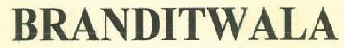 Branditwala Device mark 3142979 Trademark