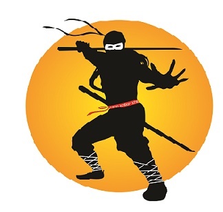 Ninja (device) Device mark 3133118 Trademark