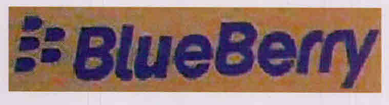Blueberry Device mark 3143325 Trademark