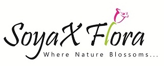 Soyax Flora - Where Nature Blossoms...alongwith Flower Device Device mark 3134029 Trademark