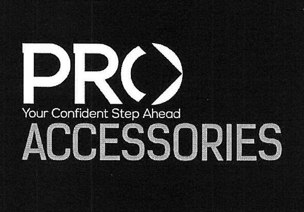 Pro Accessories Device mark 3174171 Trademark
