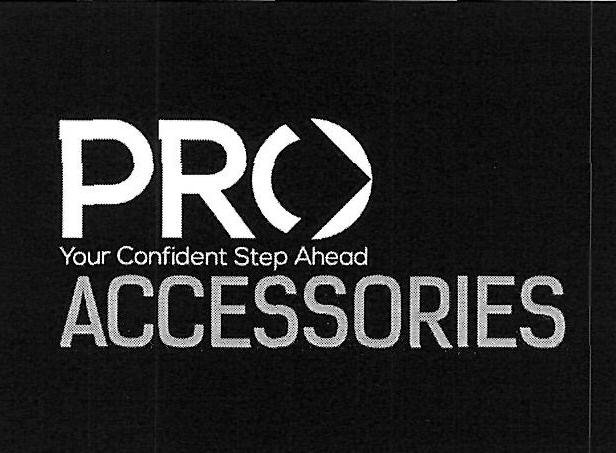 Pro Accessories Device mark 3174174 Trademark