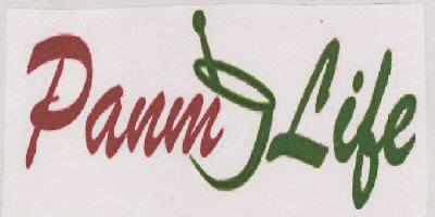 Panm Life Device mark 3134319 Trademark