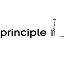 Principle (logo) Device mark 3157318 Trademark