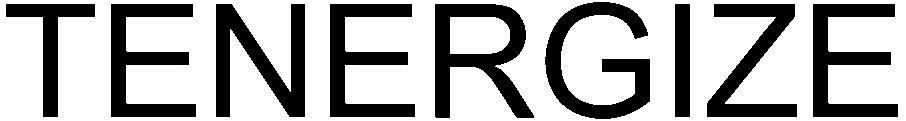 Tenergize Device mark 3175536 Trademark