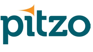 Pitzo Device mark 3174373 Trademark