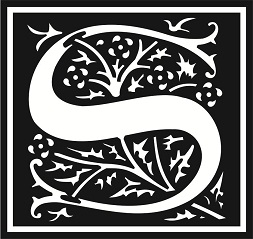 S Logo Device mark 3141025 Trademark