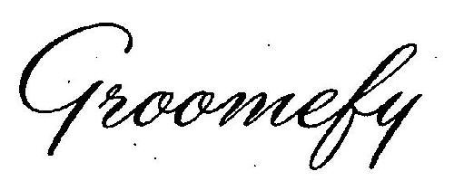 Groomefy Device mark 3141177 Trademark