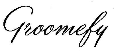 Groomefy Device mark 3141178 Trademark