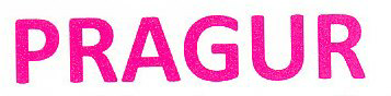 Pragur Device mark 3203047 Trademark