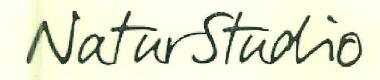 Natur Studio Device mark 3164186 Trademark
