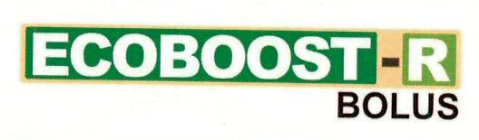 Ecoboost-r Bolus Device mark 3195978 Trademark