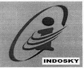 Indosky Device mark 3157512 Trademark