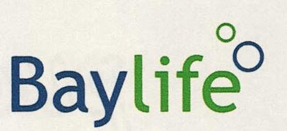 Baylife Device mark 3206303 Trademark