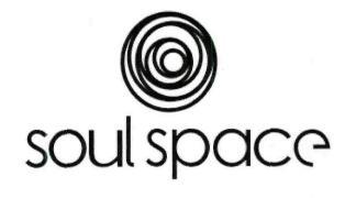 Soul Space Device mark 3165809 Trademark