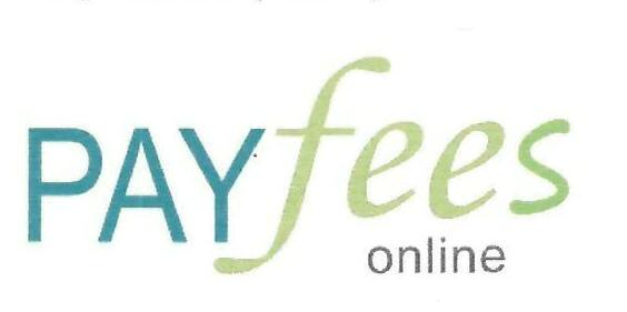 Payfees Online Device mark 3177059 Trademark