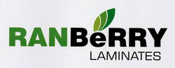 Ranberry Device mark 3205731 Trademark