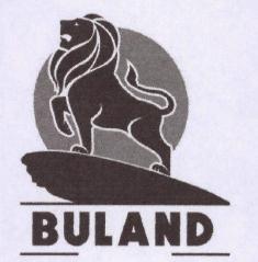 Buland, Device Of Lion Device mark 3227373 Trademark