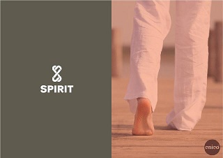 Spirit Device mark 3184559 Trademark