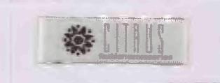 Citrus Device mark 3228935 Trademark